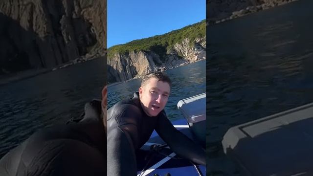 Кит мурчит смотреть онлайн