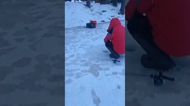 поимка форели смотреть онлайн