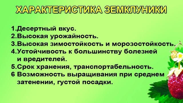 САДОВАЯ ЯГОДА ЗЕМКЛУНИКА. РЕКОМЕНДУЮ ДЛЯ ВЫРАЩИВАНИЯ. смотреть онлайн