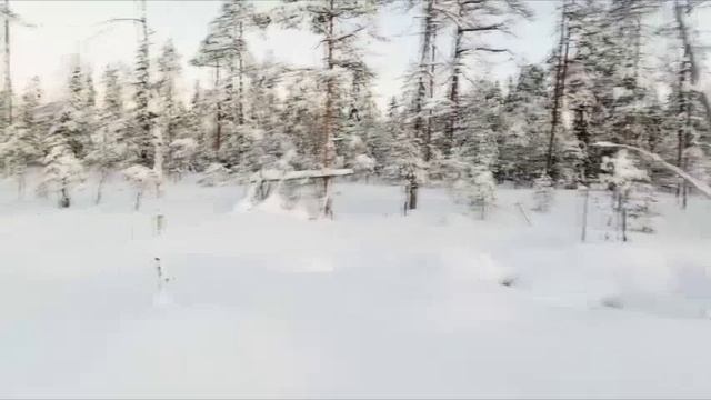 Белое безмолвие. Музыка Сергея Чекалина. смотреть онлайн