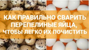 ПЕРЕПЕЛИНЫЕ ЯЙЦА // ПРАВИЛЬНО ВАРИМ // ЛЕГКО ЧИСТИМ