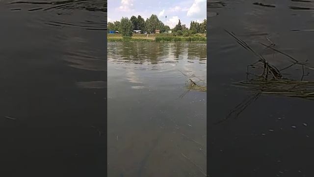 Голавль на р. Белая смотреть онлайн