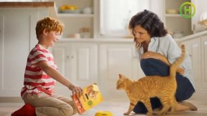 Реклама корма для котов Friskies (Новый канал, апрель 2020)/ Фрискис