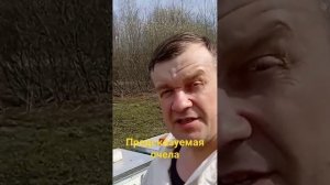 Карника, это мой выбор