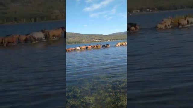 Лето.Озеро Талкас