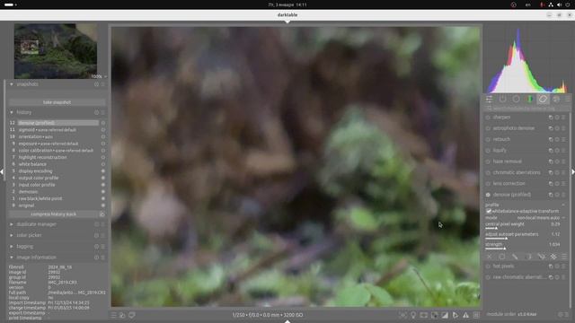 Darktable_#6_denoise profiled