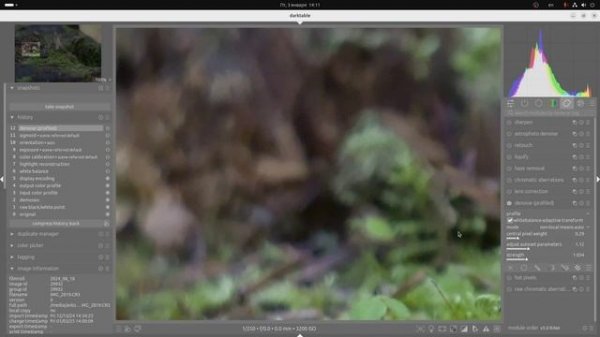 Darktable_#6_denoise profiled