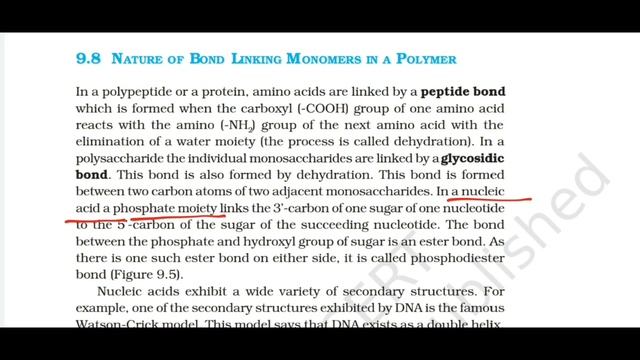 BIOMOLECULES Quick Revision NCERT CLASS 11 BIOLOGY | LEARNplexOfficial | biomolecules ncert in hind смотреть онлайн