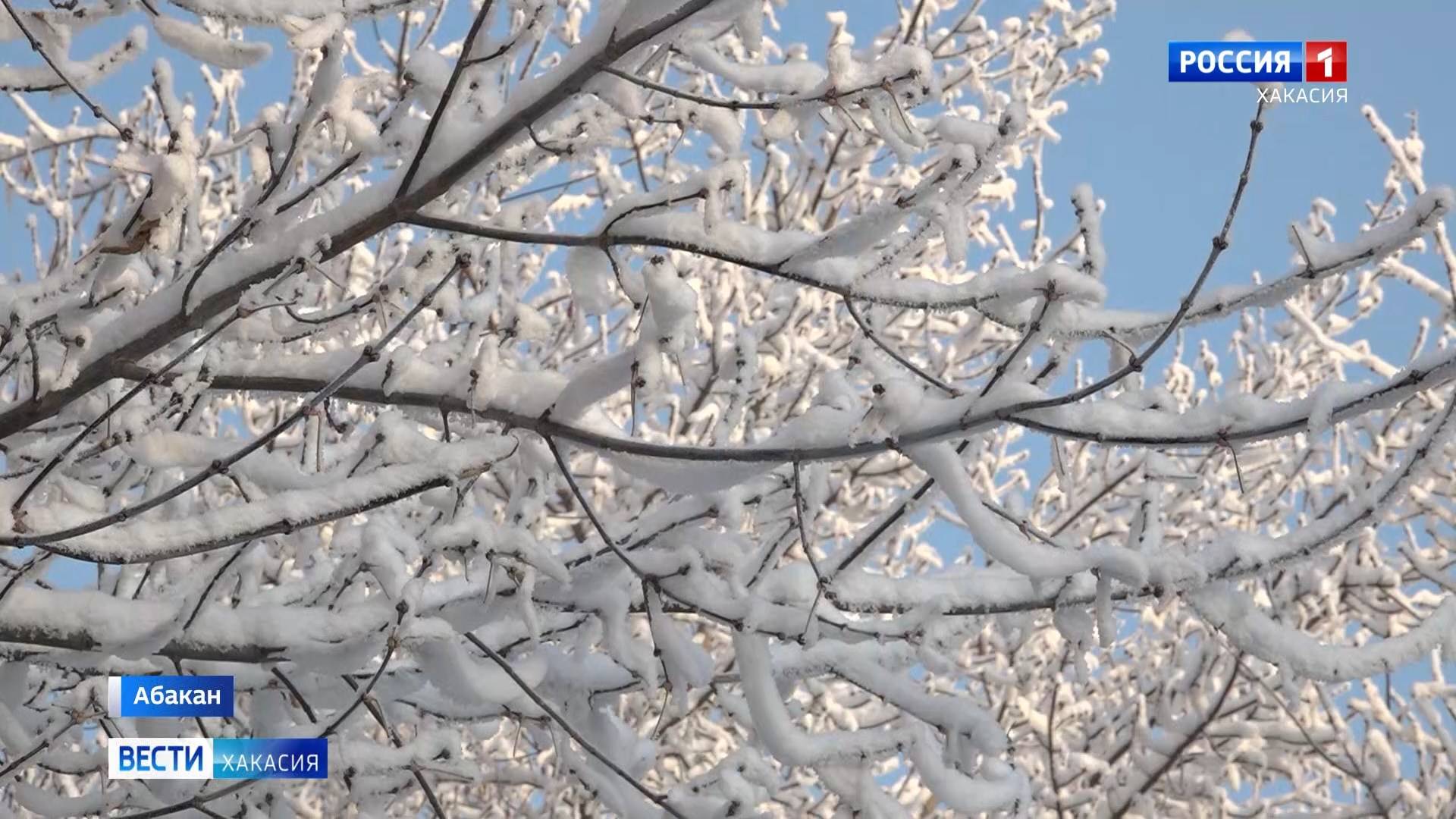 Каким будет январь? смотреть онлайн