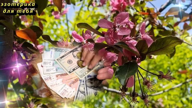 Сегодня 8 апреля самый денежный день месяца, положите это в кошелёк. Лунный день. Новолуние в Овне смотреть онлайн