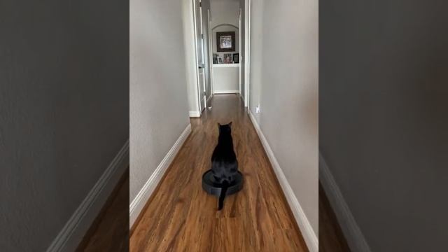 Вези меня, мразь! смотреть онлайн