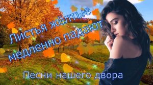 Листья жёлтые медленно падают