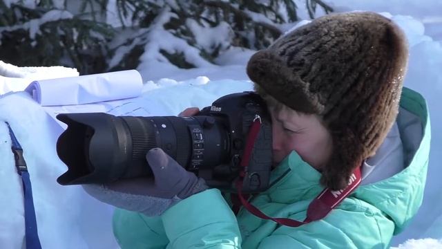 Гонка на собаках смотреть онлайн