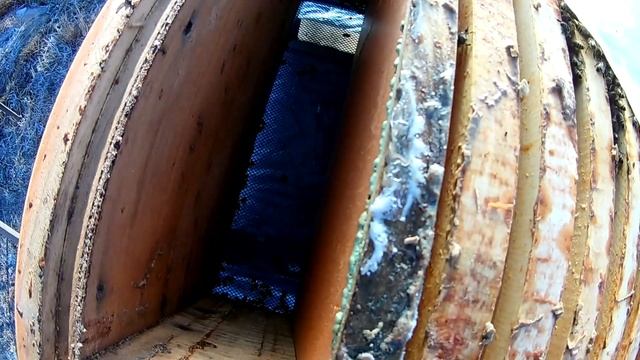 Зимовка на сетчатом дне. Состояние пчёл в мороз. смотреть онлайн