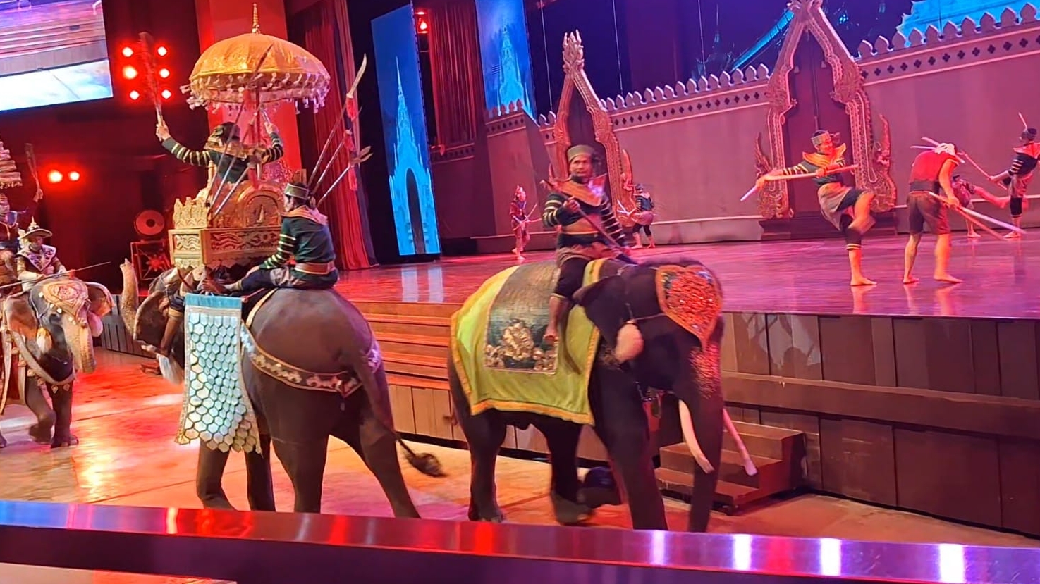 Театрализованное представление и шоу слонов в  Нонг Нуч #животные #слоны #тайланд #паттайя