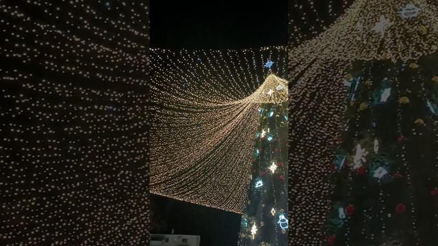 Новогодняя Ёлочка Анапы 25 🌲 смотреть онлайн