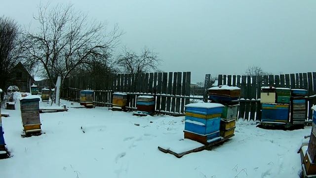 В гостях у пчеловода. Обзор пасеки. смотреть онлайн