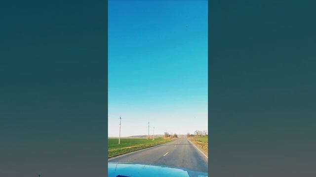 ПУТЕШЕСТВИЕ НА МАШИНЕ смотреть онлайн