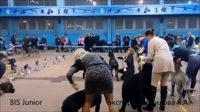 10.12.2017 г. г. Минск смотреть онлайн