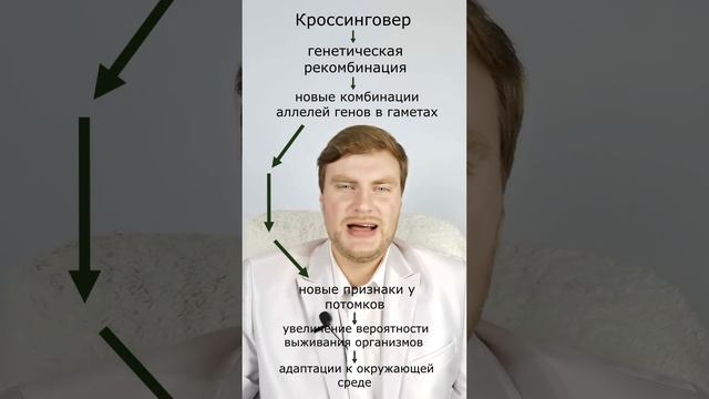 Значение кроссинговера. ЕГЭ Биология. ЕГЭ 2024. смотреть онлайн