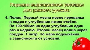 Как получить сверхранний урожай томатов, перцев и огурцов.
