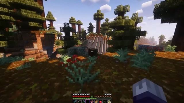 Хомяка представляет 100дней хардкора.