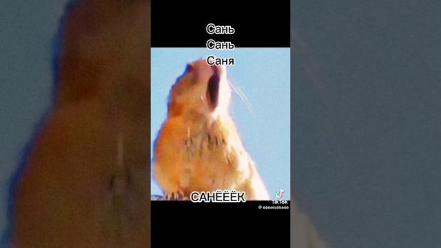 Сань сань саня санёёёк смотреть онлайн