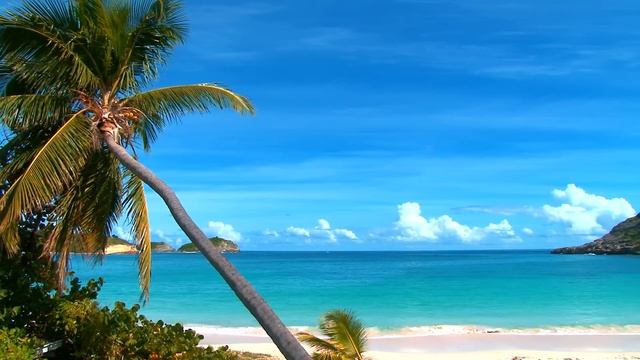 Calming Sea - Relaxing 2 Hour - Birds Singing смотреть онлайн