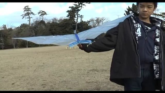 Tupuxuara 7-5 Pterosaur RC Ornithopter Tail motion смотреть онлайн