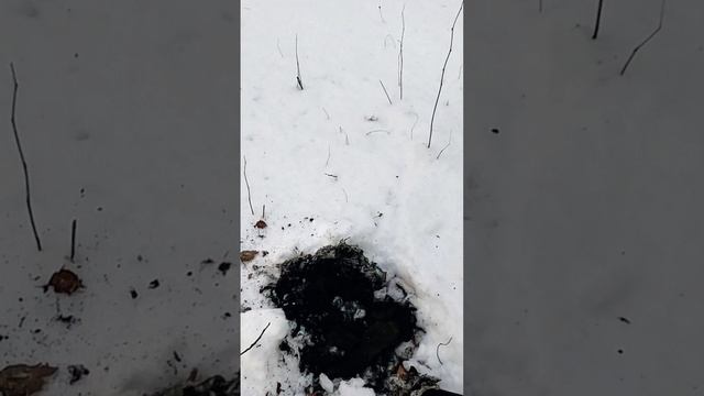 Коп состоялся! Сезон закрыт! смотреть онлайн