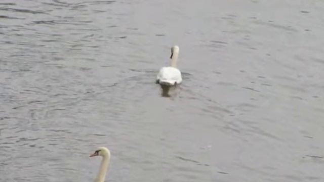 Треугольник на песке (Triangle on the sand) смотреть онлайн