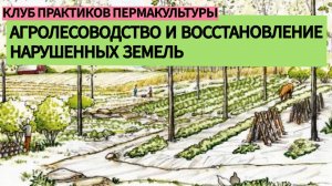 Агролесоводство и восстановление нарушенных земель - первая встреча клуба практиков пермакультуры
