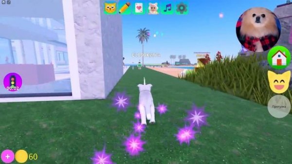 КОТИКИ В РОБЛОКС СОБИРАЮТ ЯИЧКИ НА ПАСХУ ! Kitten Game