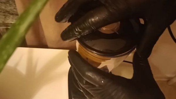 Мясо по французики, с манго-чесночным соусом.