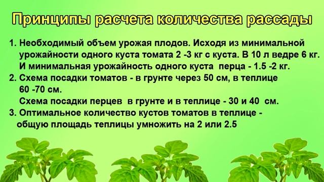 Сколько рассады надо. Какие сорта. Шпаргалка 1 смотреть онлайн