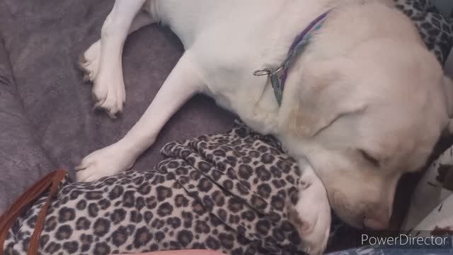 Поставила тесто , Завтрак с Дочкой, все-же я не буду её Ставить , Решила и все тут. смотреть онлайн