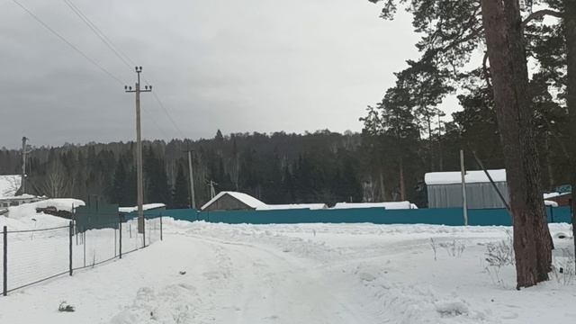Прогулка через лес смотреть онлайн