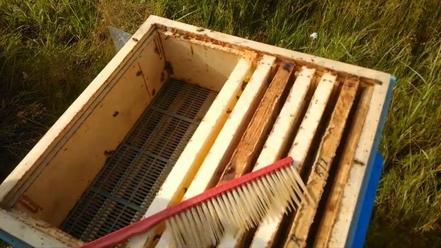 Снимаем последние магазины в этом сезоне! смотреть онлайн