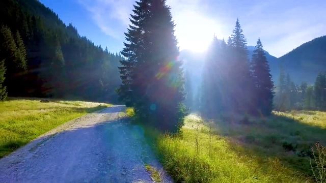 Gentle Music, Calms The Nervous System And Pleases The Soul 🌿 Healing Music For The Heart And Blood смотреть онлайн