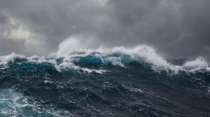 ОДИН В ОКЕАНЕ. Читаем книгу С.Курилова