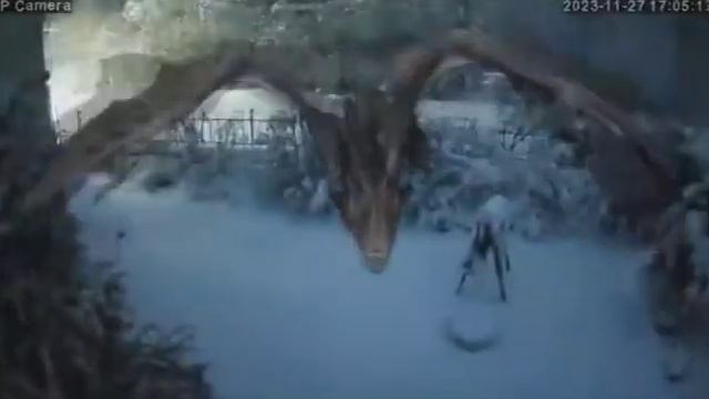 Дракон уже спешит в полёт! Скоро, скоро Новый год!