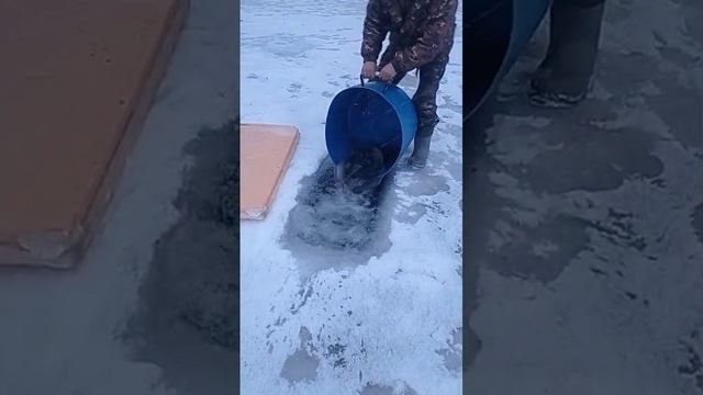 запуск форели на путевки смотреть онлайн