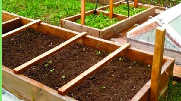 Октябрь. Готовим плодородные грядки.