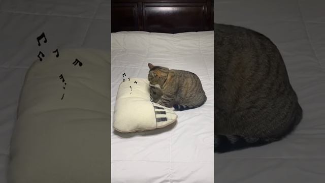 К Элизе. Исполняет Вася. смотреть онлайн