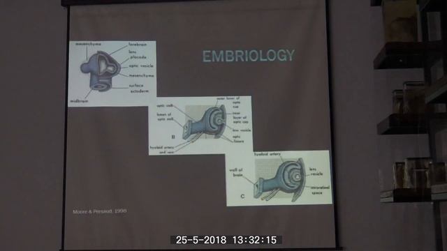 Langohr Eye Path part 2 смотреть онлайн