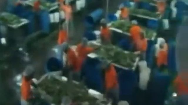 Идеальный Бизнес смотреть онлайн