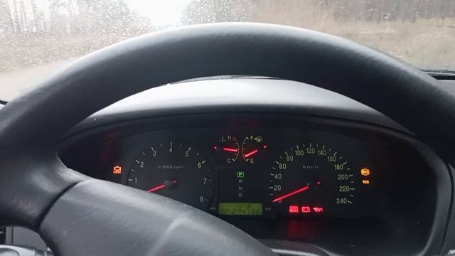 1000019391.mp4 смотреть онлайн