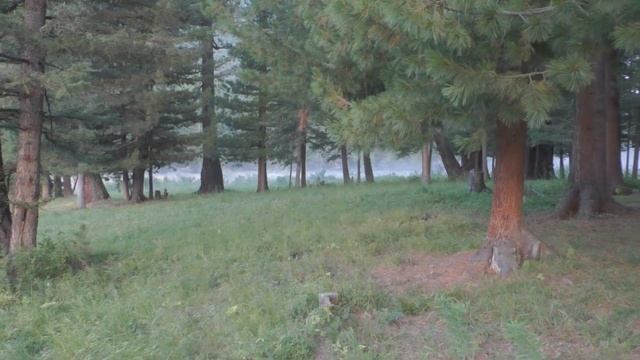 Алтай. С котловины озера  в горную тундру. ч 10