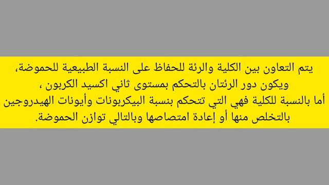 ماهي وظيفة الكلى في جسم الإنسان (ثقف نفسك) смотреть онлайн