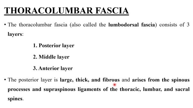 BIOMECHANICS OF VERTEBRAL COLUMN - PART 5 (KINETICS AND KINEMATICS OF LUMBAR SPINE) смотреть онлайн